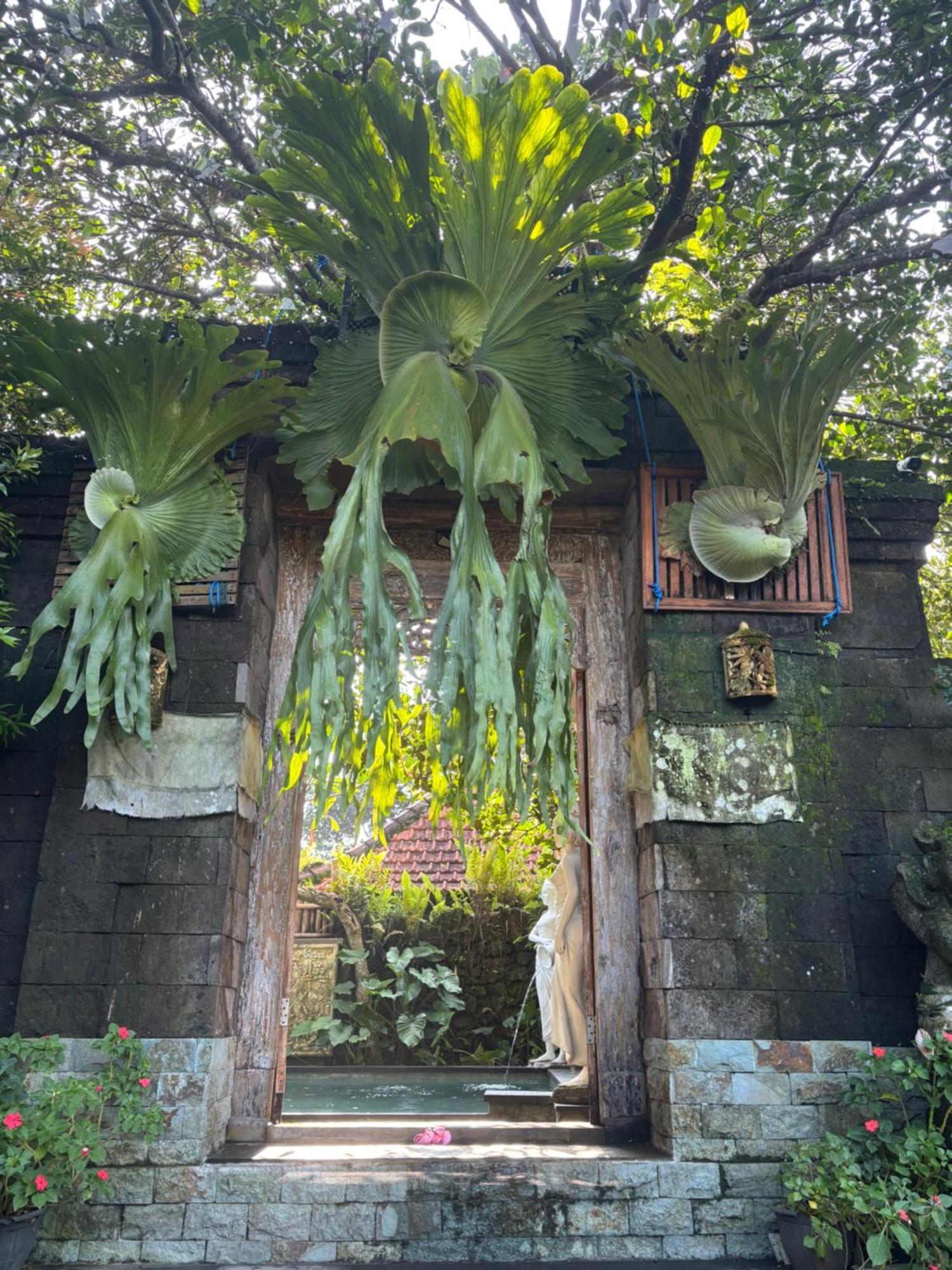 Bumbung Sari Villa Ubud Exteriör bild